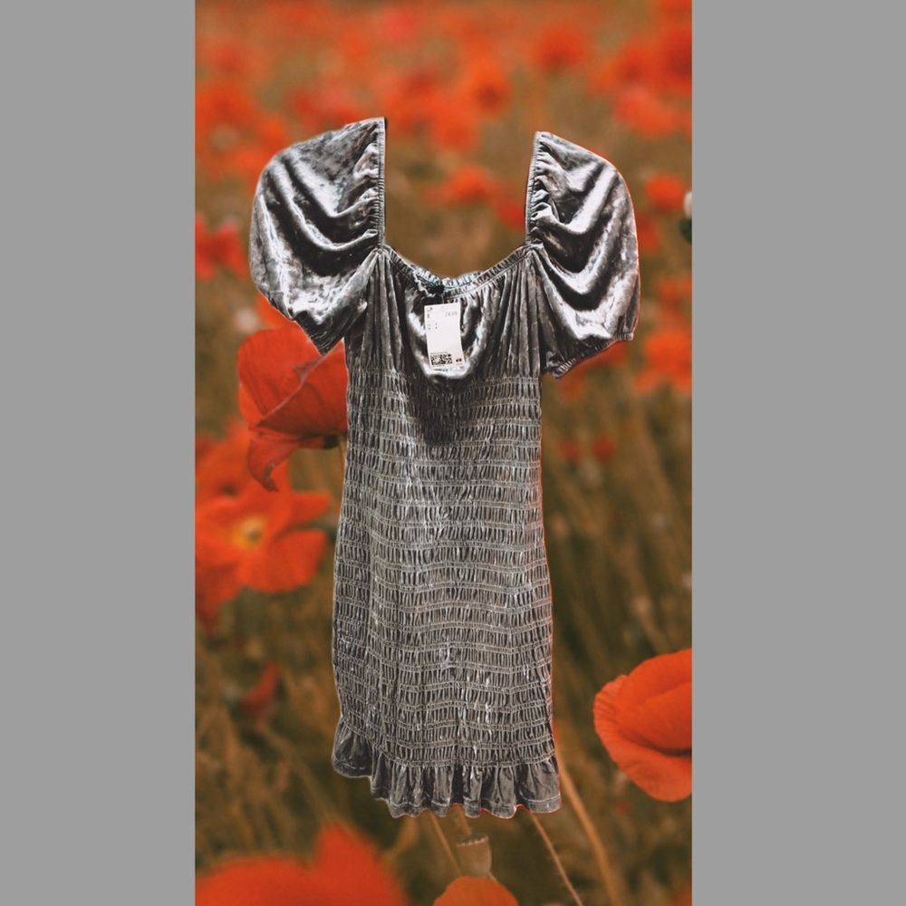H&M Plush Velvet Dress